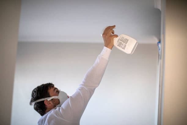 Best Residential Mold Remediation in Ruidoso, NM