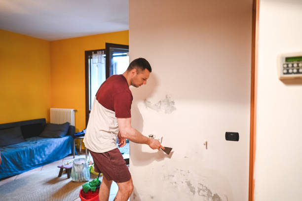 Best Industrial Mold Remediation in Ruidoso, NM